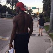 Jamari Stapless billede
