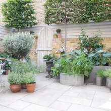 Landscape Ideas