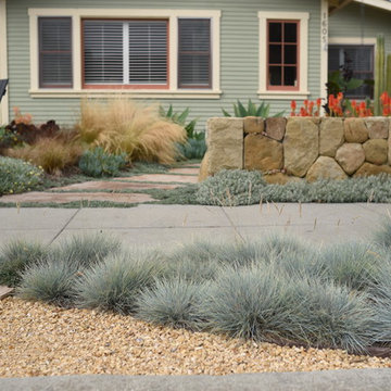 America's Best Front Yard