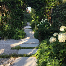 Contemporary Garden by Charlotte  Rowe Garden Design