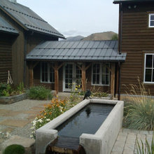 landscape | backyard