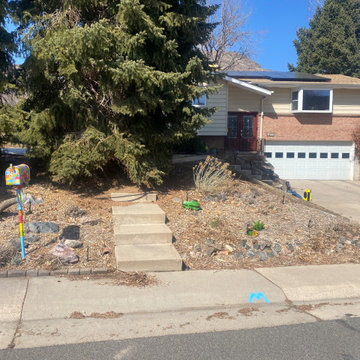 Front Yard Facelift in Golden