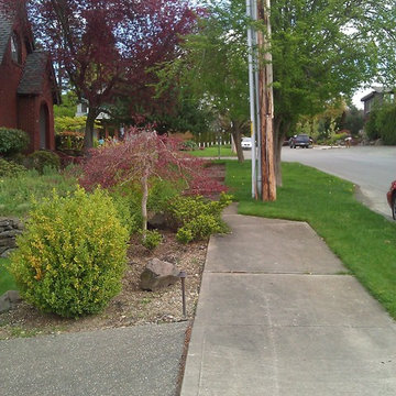 Kirkland - Plant Lover's Garden with No-Lawn
