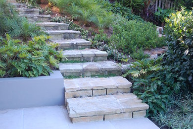This is an example of a contemporary garden in Sydney.