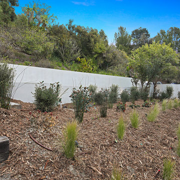 Luxurious Brentwood Home