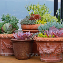 Planters/plants