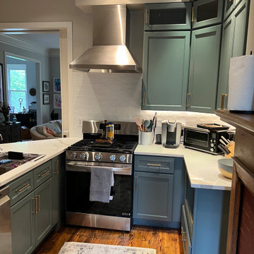 Sage Green Kitchen Remodel in Washington, DC