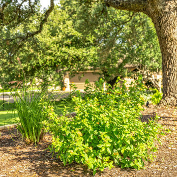Dripping Springs Oasis