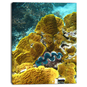 "Barrier Reef Underwater Scene" Seascape Photo Canvas Print, 12"x20"