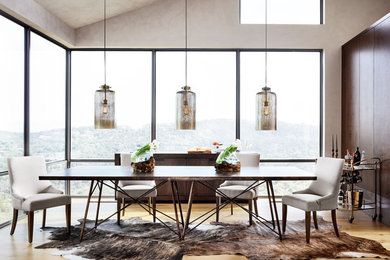 Inspiration for a contemporary dining room remodel in Other