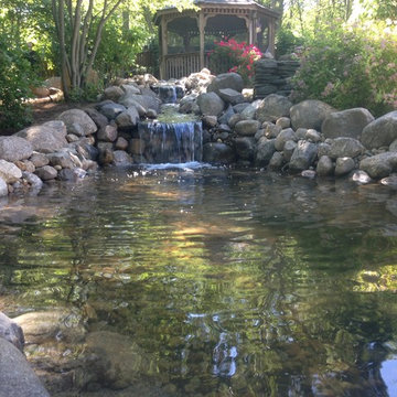 Lynn - Wildlife Sanctuary