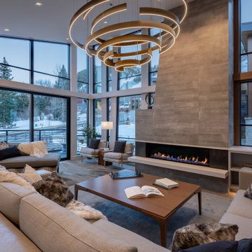 Aspen One