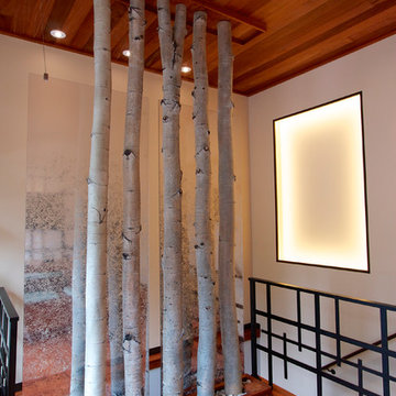 Denver Foothills Home