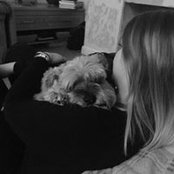 Sian McDermott's photo