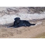 Bobby Miller's photo