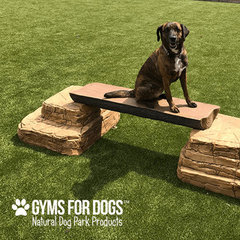 Gyms For Dogs