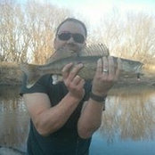 Chris Schooley's photo