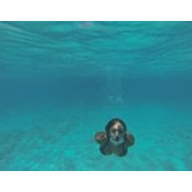 Amanda Maneff's photo
