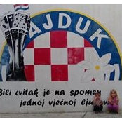 Marinović Ante's photo