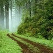 Andrea Wolf's photo