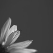 Beth Whitson's photo