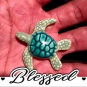 CeCe Frost's photo