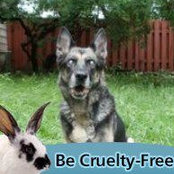 Manuela Lima's photo