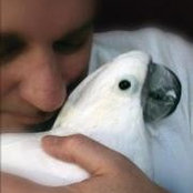 Foto de D Bruce Stevens