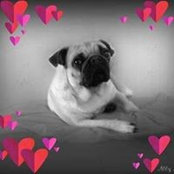 Brenda Pold's photo
