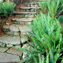 stairs to water
