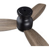 CARRO Low Profile Flush Ceiling Fan with Remote and Dim LED Light, Black, 48"