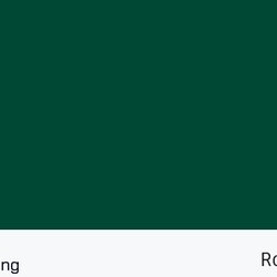 Rochele Colours - Products