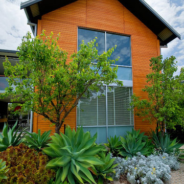 Mosman Park House