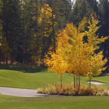Montana Native Plant Landscapes