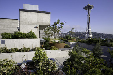 Design ideas for a modern landscaping in Seattle.