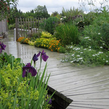 Wood Walkway