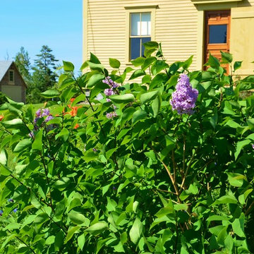 Restoration/Renovation projects
