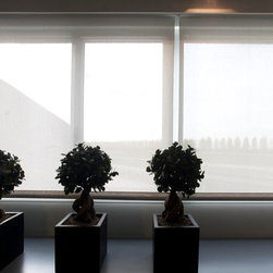 Roller Shades - Roller Shades