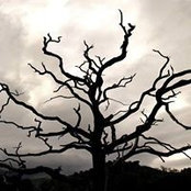 Ian Anders's photo