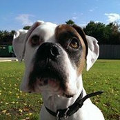 Angela Palance's photo