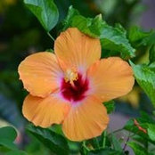 Anne Mushlitz's photo