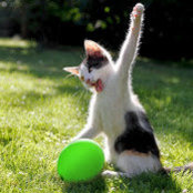 Matthew Jones's photo