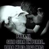 Antonio Apache Collia's photo