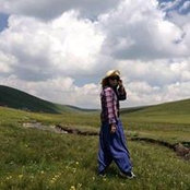 Yi Zhang's photo