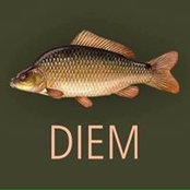 Fanny Finkes billede