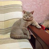 Foto von Тимур Крюков
