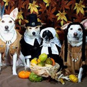 Janet Ruckel's photo