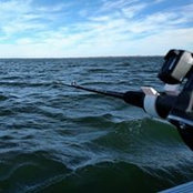 Brian Ficek's photo