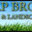 Stap brothers lawn and landscape company
