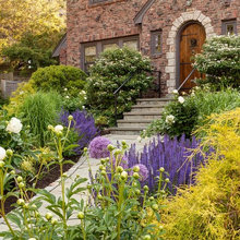 Landscape design